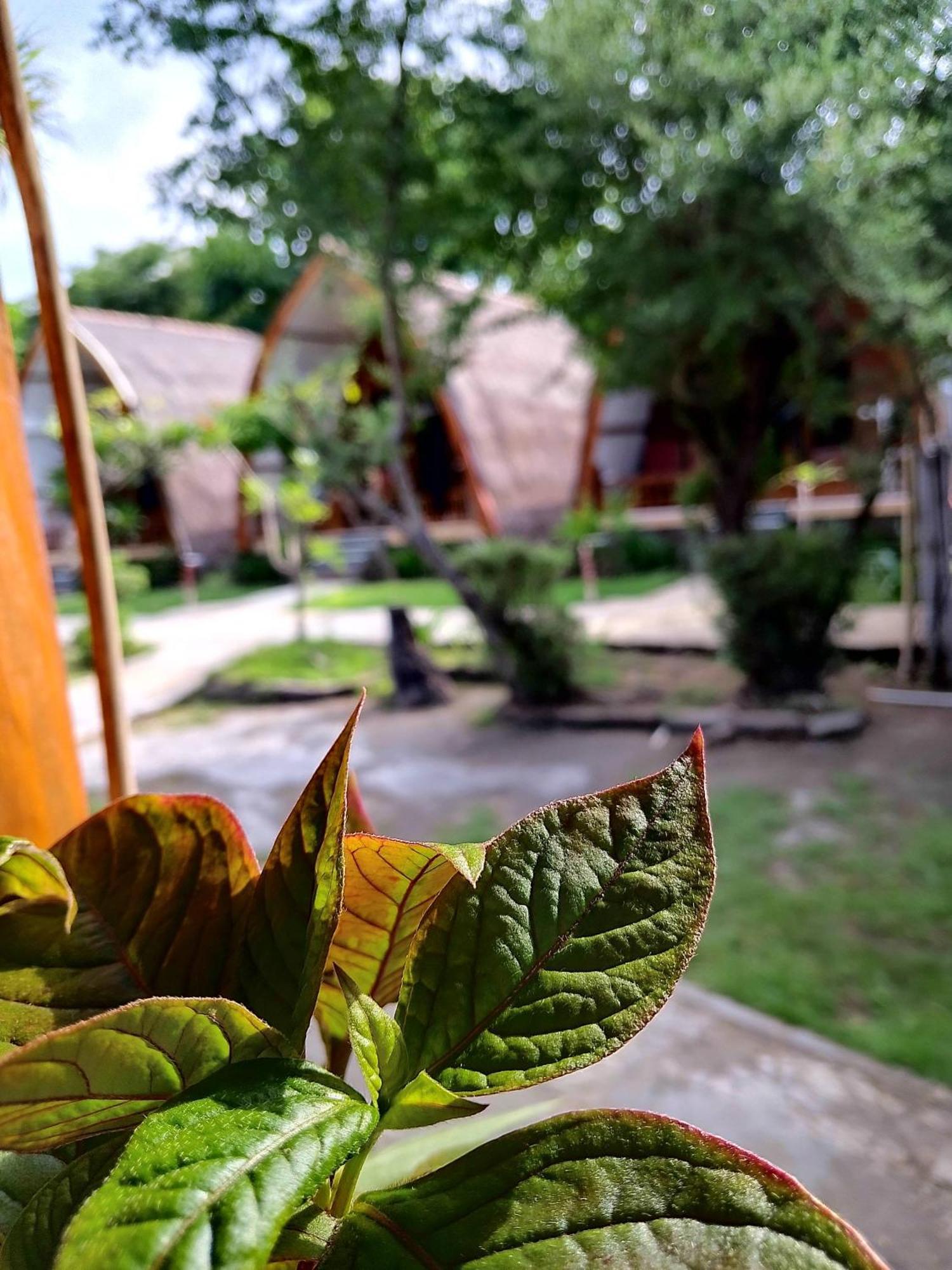 We'Be Cottages Gili Meno Bagian luar foto